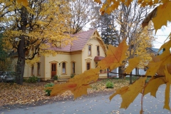 Favourite-Photo-Fall-frontage-136-Rideau-18OCT2014