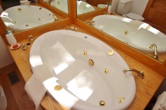 Mirrored-Master-Bathroom-Ready-for-Viewing-8DEC19