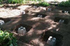 Rear-Deck-Pilons-Dug-and-Planted-with-Laser-Precision-5OCT2019