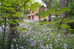 Flox-View-of-136-Rideau-June-2014