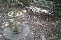 Mom-and-Dads-Final-Resting-Place-in-the-Northern-Woodland-of-136-Rideau-25AUG2018