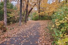 Stoney-Creek-Trail-Tims-walking-trails-London-2020s