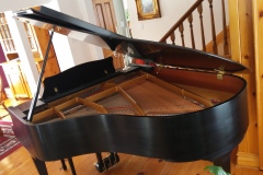 my-beautiful-Grand-Piano-from-Bob